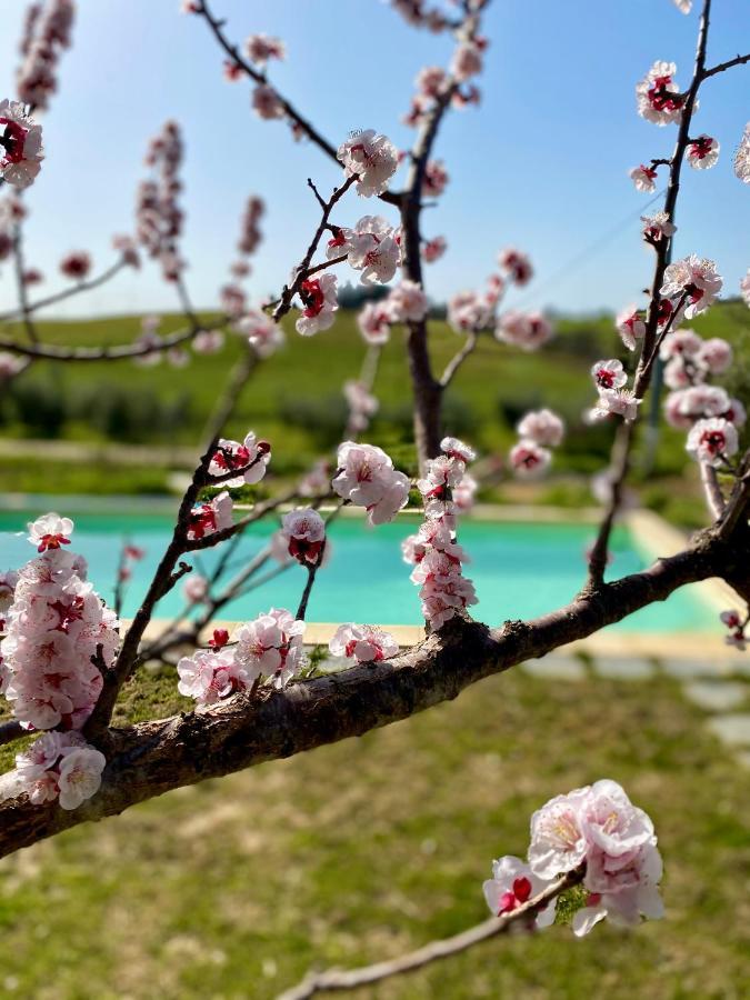 B&B Monte Di Bu Bagno Roselle 외부 사진