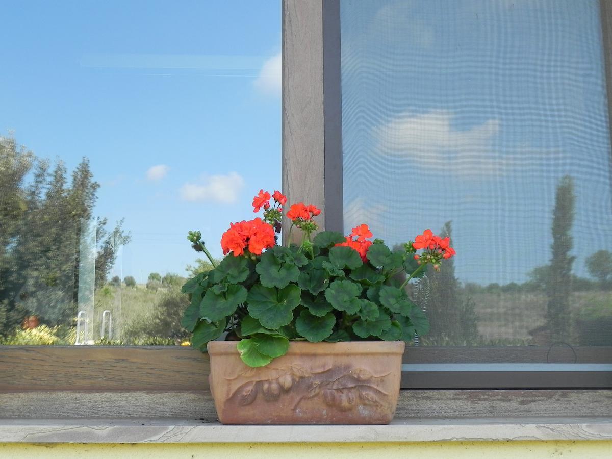 B&B Monte Di Bu Bagno Roselle 외부 사진