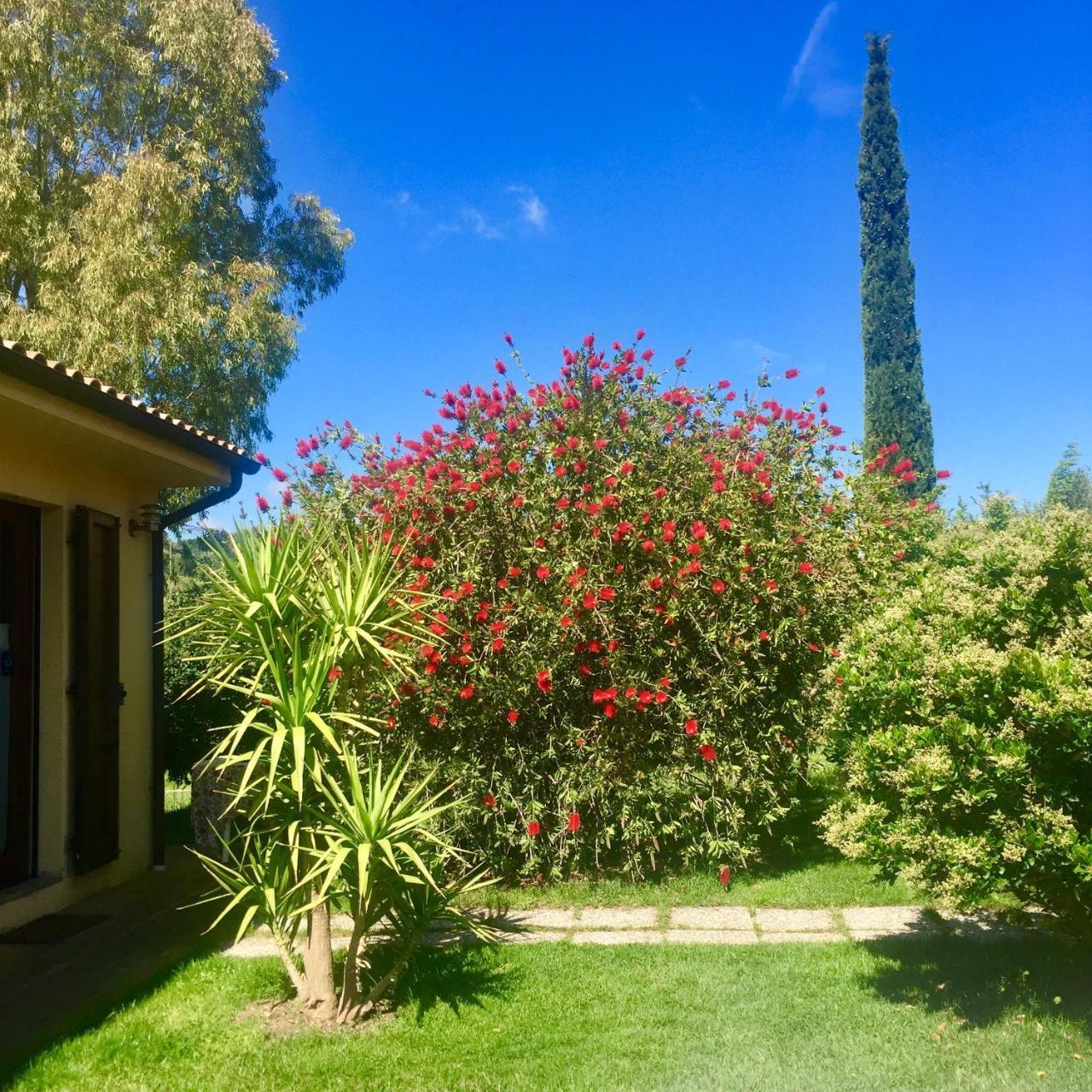 B&B Monte Di Bu Bagno Roselle 외부 사진