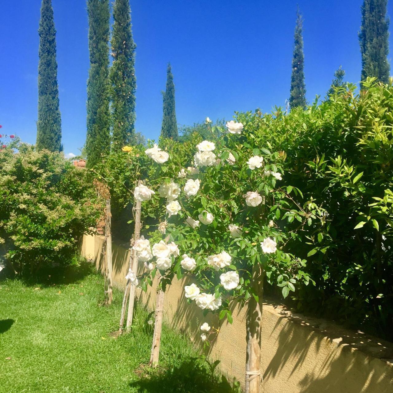 B&B Monte Di Bu Bagno Roselle 외부 사진