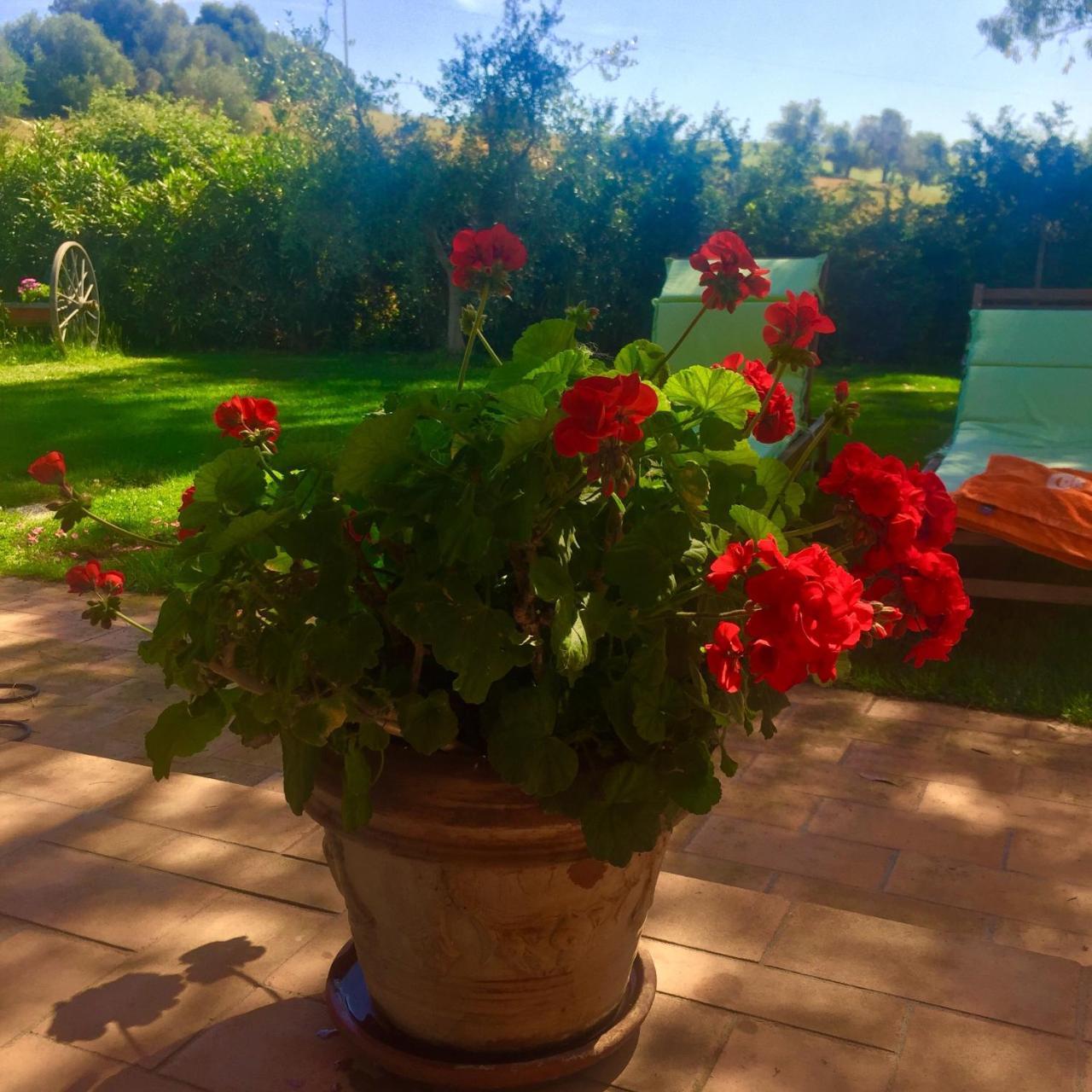 B&B Monte Di Bu Bagno Roselle 외부 사진