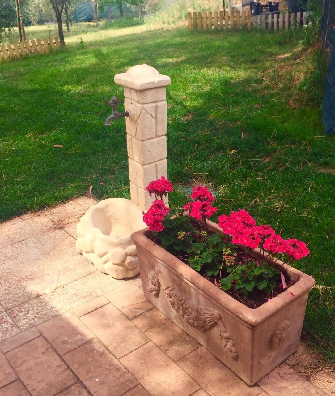 B&B Monte Di Bu Bagno Roselle 외부 사진